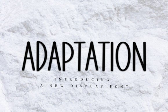 Adaptation Font for Web Design